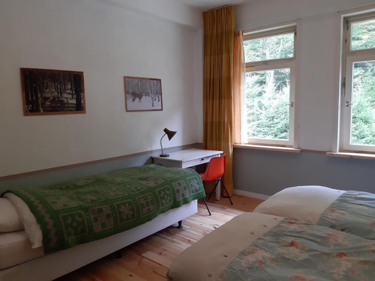 Das Okerhaus Vegetarische B&B Mit Halbpension อัลเทอเนา ภายนอก รูปภาพ